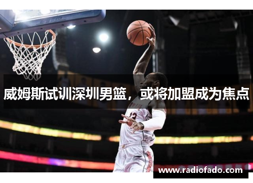 威姆斯试训深圳男篮，或将加盟成为焦点
